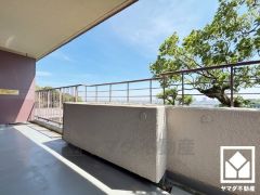 南北両面バルコニーで陽当たり、風通し良好。広々としているため、お洗濯物をたっぷりと干す事ができます。