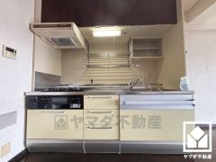 キッチンは空間を有効活用できる壁付けタイプ。