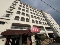 ダイニングには飾り棚が設置されており、写真やお花、インテリア雑貨などを飾ることができます。