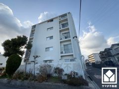 収納豊富でスッキリお使い頂ける3面鏡の洗面台です。シャワー付きの水栓で、忙しい朝でも身支度がしやすく時短になります。