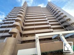 緑豊かな夙川沿いにはサイクリングロードや遊歩道が整備されており、四季折々の自然を感じながらお散歩やサイクリング、ジョギングなどの運動も楽しめる住環境です。