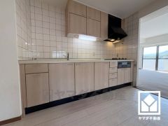 キッチンは空間を有効活用できる壁付けタイプ。