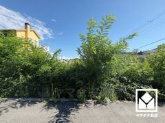 緑に囲まれた閑静な住宅地で、穏やかな環境で四季折々の自然を感じながらお過ごしいただけます。