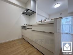 使いやすさとデザイン性を両立。落ち着いた木目調のデザインが魅力のシステムキッチンです。