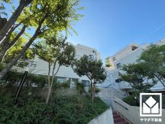 キッチンは空間を有効活用できる壁付けタイプ。