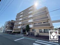 洗面台はシャワー付きで、忙しい朝でも身支度がしやすく時短になります。