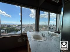 大きな窓付きで明るいサニタリースペース。