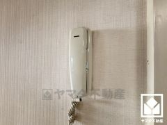 シンプルで使いやすいインターホンあり。