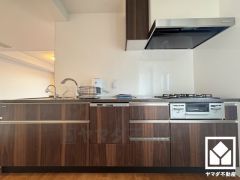 使いやすさとデザイン性を両立。落ち着いた木目調のデザインが魅力のシステムキッチンです。