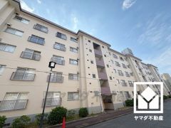 キッチンは空間を有効活用できる壁付けタイプ。キッチン横には窓がございますので、昼間は手元が明るく、お料理がはかどります。