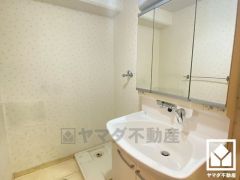 3面鏡の裏側や洗面台下など収納スペースが豊富な洗面台です。