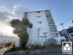 居室は約7.5帖の和室になっています。バルコニーに面したお部屋で風通しが良く、明るい陽光がたっぷり差し込む心地よい生活空間です。押入れがございますので、お部屋の広さを最大限に活用できます。