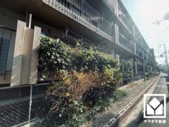 シンプルで飽きのこない設計が、暮らしに余白をもたらします。