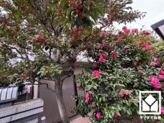 キッチン横には勝手口があり、換気やゴミ出しなどに便利です。昼間は手元が明るく、お料理がはかどります。