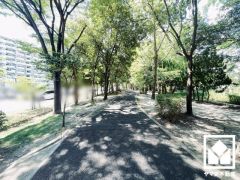 敷地内は木々が多く植えられていて、四季の移り変わりが感じられる緑豊かな環境です。