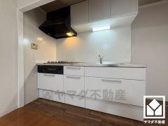 キッチンは空間を有効活用できる壁付けタイプ。