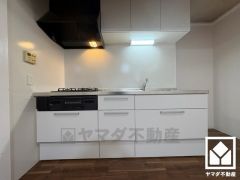 明るい白色で統一された清潔感のあるデザインが魅力のシステムキッチンです。