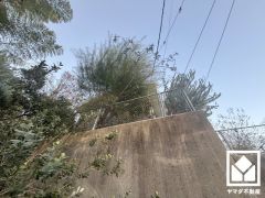 キッチンはカウンター付きの対面式。配膳や片付けがしやすく、お料理中でもお子様の様子が分かって安心です。