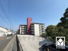 その他、廊下やリビングにも収納があり、住空間を広々お使いいただけます。