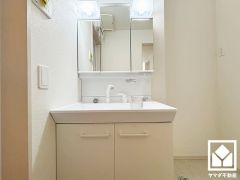 収納付きでスッキリお使い頂ける3面鏡の洗面台です。洗面ボウルが広めなので、忙しい朝でも身支度がしやすく時短になります。