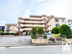 この住宅は、日々の暮らしをそっと支えてくれます。