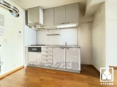 キッチンは空間を有効活用できる壁付けタイプ。