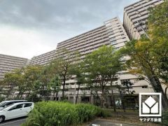 敷地内は木々が多く植えられていて、四季の移り変わりが感じられる緑豊かな景観です。