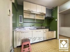 キッチンは空間を有効活用できる壁付けタイプ。