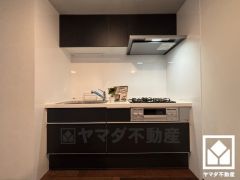 使いやすさとデザイン性を両立。落ち着いたモノトーンテイストが魅力のシステムキッチンです。壁付けタイプで空間を有効活用。