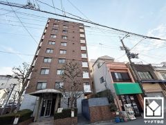 蓬川沿いには桜並木や梅林、バラ園なども整備されており四季折々のお花も楽しめます。約1000本の桜のトンネルは圧巻の美しさです。