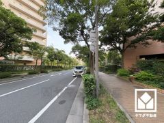 敷地内は木々が多く植えられていて、四季の移り変わりが感じられる緑豊かな景観です。