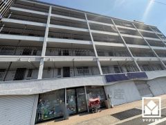 南面バルコニーで陽当たり、風通し良好。