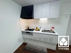 キッチンは空間を有効活用できる壁付けタイプ。