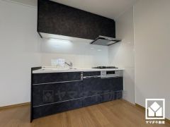 キッチンは空間を有効活用できる壁付けタイプ。3口コンロ仕様です。