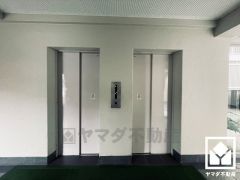 約6帖の東側洋室はアクセントクロスを取り入れたデザイン性の高いお部屋です。インテリアが映えるおしゃれな空間で、リラックスしたひとときを過ごせます。