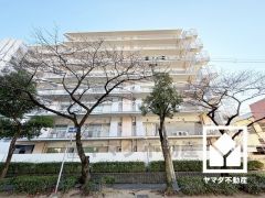 毎日の家事の負担を軽減でき、水道代の節約にもなる食器洗乾燥機付き。