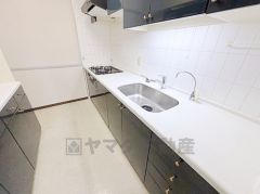 キッチンは空間を有効活用できる壁付けタイプ。調理に手間がかかりがちな肉や魚を、短時間でサッと焼き上げることができるグリル付き。