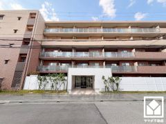 シンプルで飽きのこない設計が、暮らしに余白をもたらします。