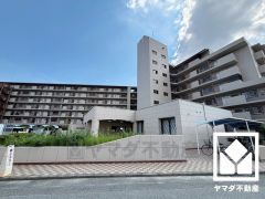 シンプルで飽きのこない設計が、暮らしに余白をもたらします。