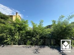 余裕のある間口約15.8mで、駐車スペースや玄関アプローチが確保しやすく、間取りの自由度が高まります。