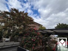 シンプルで飽きのこない設計が、暮らしに余白をもたらします。