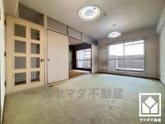 自然光を取り込む、開放感あふれる暮らし