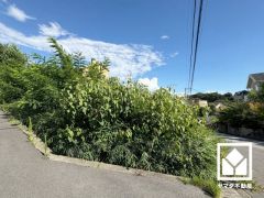 周囲にはすでに建物が建っていますので、実際の採光状況や窓の位置なども事前にご確認いただけます。